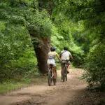 E-bike rides through the forest.