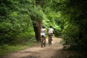 E-bike rides through the forest. 