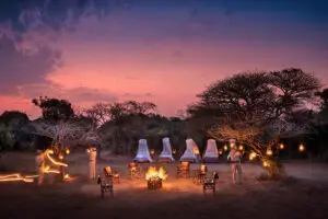 Phinda sleep-out experience.