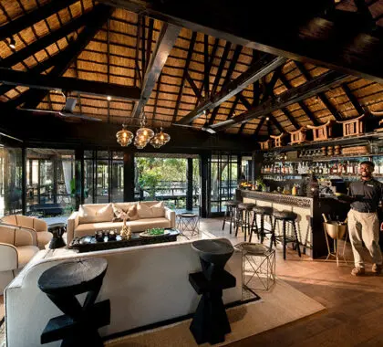 The elegant lounge and bar area at Phinda Vlei Lodge.