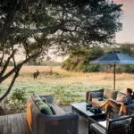 Take in the views of the wetland and wildlife passing by.