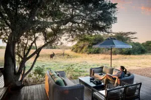 Take in the views of the wetland and wildlife passing by.