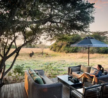 Take in the views of the wetland and wildlife passing by.
