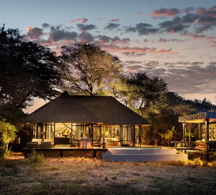 Noches en Phinda Vlei Lodge. 