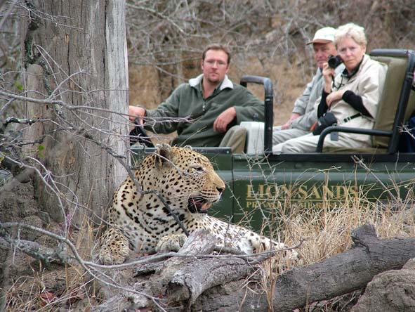 Up-close leopard sightings are a speciality at Kruger's private reserves - ask us which ones are best.
