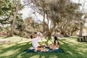 Picnics perfectos.