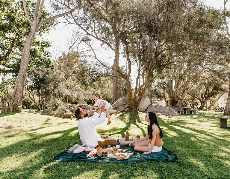 Picnics perfectos.