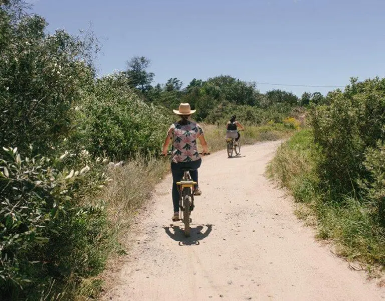 explorar la granja en bicicleta.