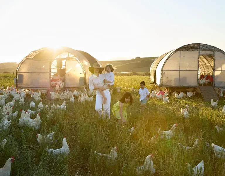 Family farm adventures.