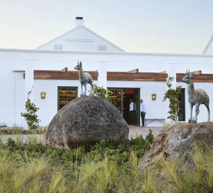 Art at the entrance of Spier Hotel.