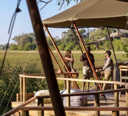 stanleys-camp-an-ak-sanctuary-botswana-delta-banner-2