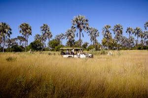 Exceptional game drives.