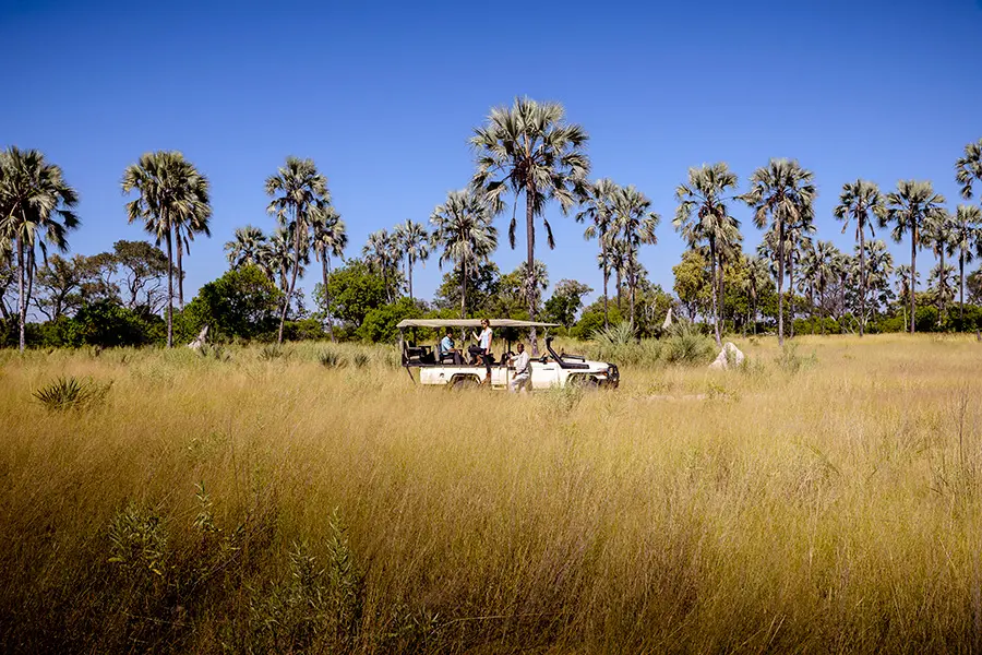 Exceptional game drives.