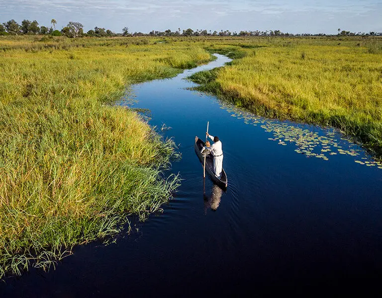 Mokoro ride through the Delta waterways.