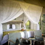 The suites are all lined with mesh, ensuring you can enjoy the view while the critters stay outdoors. 