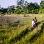 Embark on a guided walk. 