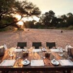 Bush dining.
