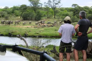 Puesta de sol con una vista perfecta de la vida salvaje.