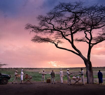 Sundowners.