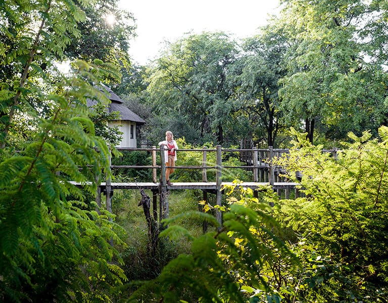 Pasarelas elevadas entre el campamento y las habitaciones. 