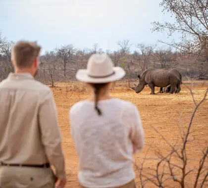 Walks in the reserve.