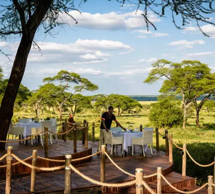 Cena en la terraza de Swala.
