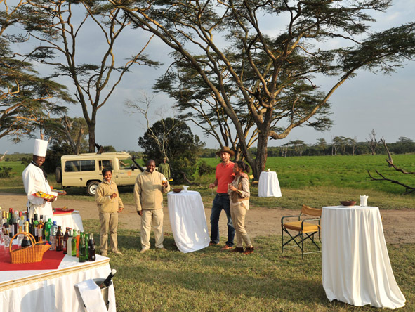 Game drives culminate in a late afternoon sundowner drink, served under spreading acacia trees.