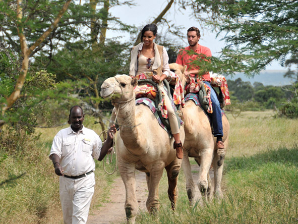 Camel-back safaris add a North African twist to East African game viewing at Sweetwaters!