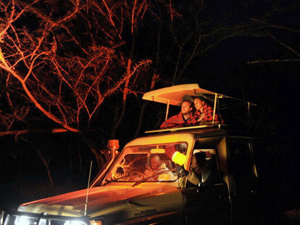A private conservancy setting means Sweetwaters is able to offer exciting night drives along with guided nature walks.