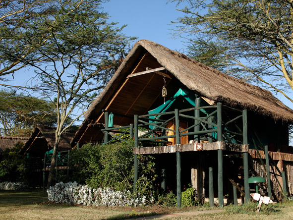 Raised off the ground, each of Sweetwaters' luxury tents has a veranda overlooking a busy waterhole.
