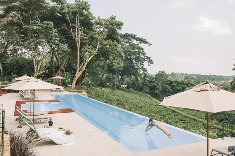 Swimming pool at Gibb's Farm.