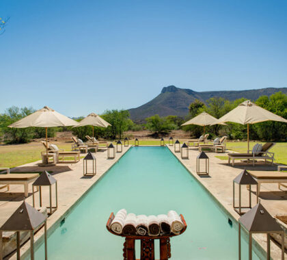 THE-MANOR-AT-SAMARA-swimming-pool-the-manor-vulture-mountain-samara-reserve-south-africa-karoo-1500x998