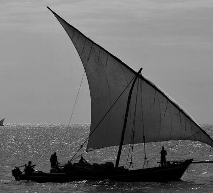 Sail on a dhow.
