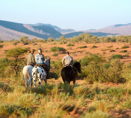 Horse riding on offer at The Motse at Tswalu.