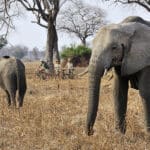 Disfrute de aventureros safaris en bicicleta