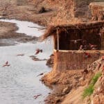 El escondite del abejaruco carmín da a una zona de nidificación donde estas coloridas aves migratorias anidan cuando se encuentran en la zona.