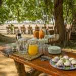Nada como una comida en el monte | Tafika Cap