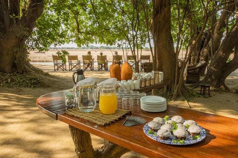 Nothing quite like a meal in the bush | Tafika Cap