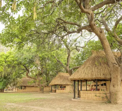 Exterior del chalé Tafika Camp.