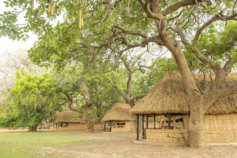 Tafika Camp chalet exterior.