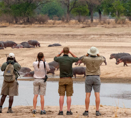 Walking safari with hippos in sight.