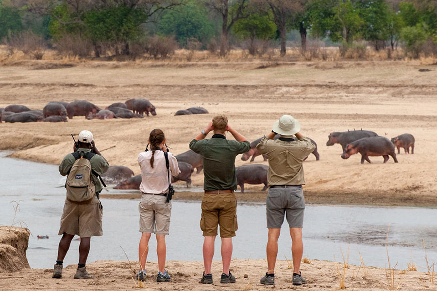 Walking safari with hippos in sight.