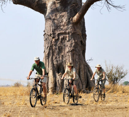 Take a break from game drives & explore this beautiful area by mountain bike.