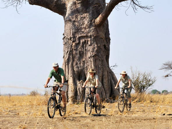 Take a break from game drives & explore this beautiful area by mountain bike.