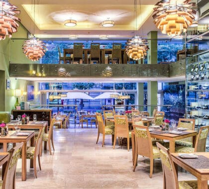 Enjoy fine dinning and delicious meals.