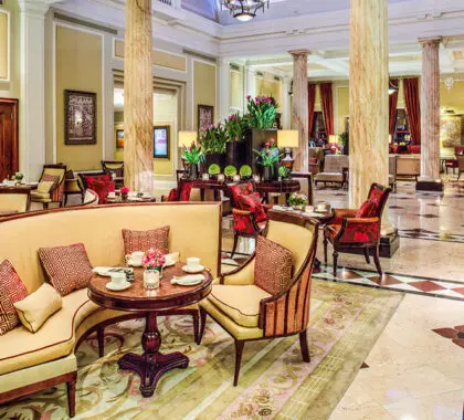 Unwind in the lounge with fellow guests.