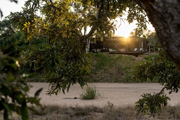 tanda-tula-safari-camp-exterior-área principal-puesta de sol