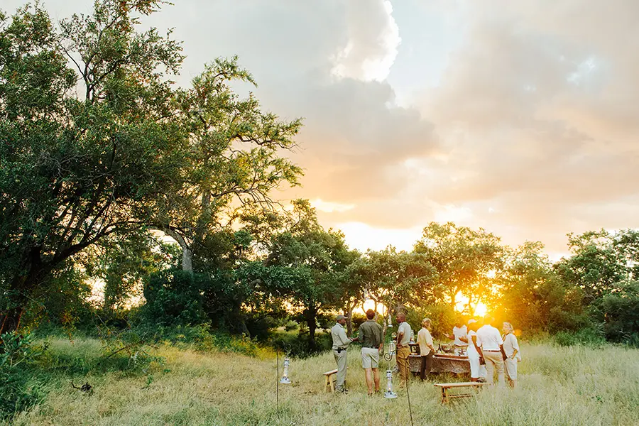 tanda-tula-sundowners