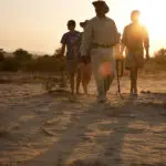 Veel kampen bieden begeleide wandelingen en game drives aan, ideaal voor het avontuurlijke gezin met oudere kinderen.