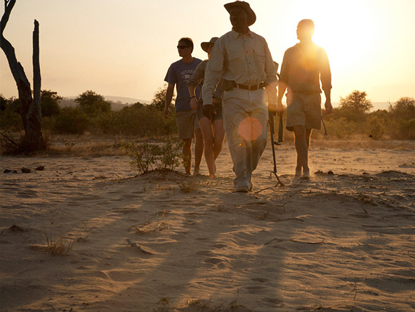 Many camps offer guided walks as well as game drives, ideal for the adventurous family with older children.